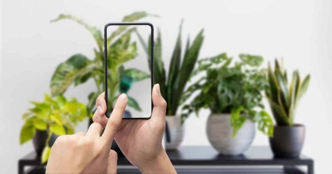 Want A Green Thumb? The Best Plant Care Apps