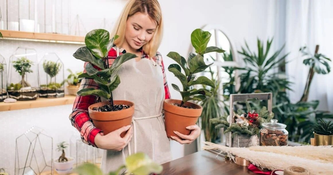 50 Inspiring Quotes For Plant Lovers And Gardeners