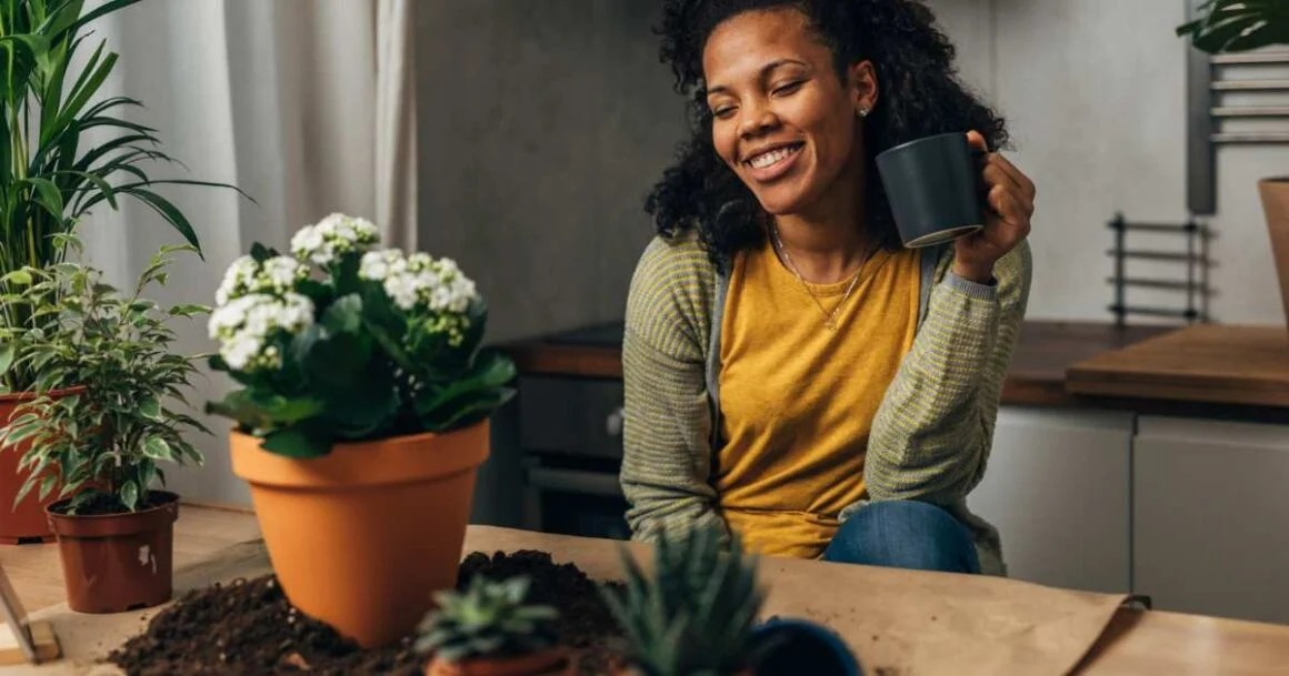 How To Use Coffee Grounds As Fertilizer For Indoor Plants