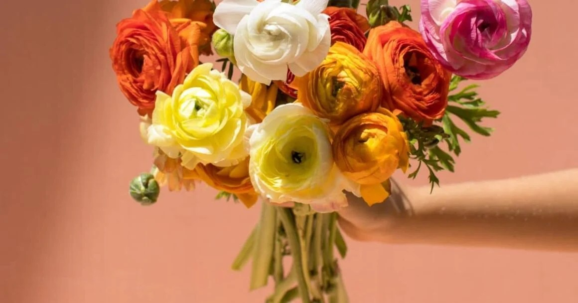 How To Practice Gratitude Every Day For A Happier Life